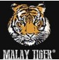 Malay Tiger